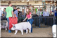 LCFAIR17-4642.jpg