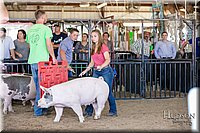 LCFAIR17-4643.jpg