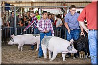 LCFAIR17-4644.jpg