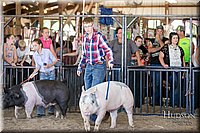 LCFAIR17-4645.jpg