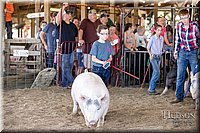 LCFAIR17-4646.jpg