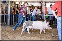 LCFAIR17-4647.jpg