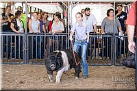 LCFAIR17-4648.jpg