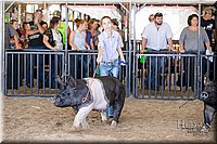 LCFAIR17-4649.jpg