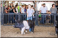 LCFAIR17-4650.jpg