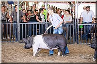 LCFAIR17-4651.jpg