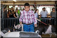 LCFAIR17-4652.jpg