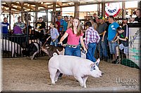 LCFAIR17-4653.jpg