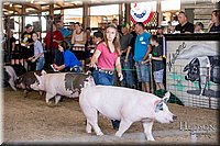 LCFAIR17-4654.jpg