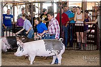 LCFAIR17-4655.jpg