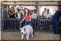 LCFAIR17-4656.jpg