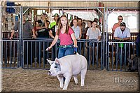 LCFAIR17-4657.jpg