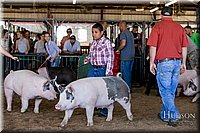 LCFAIR17-4658.jpg