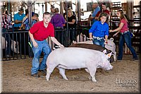 LCFAIR17-4662.jpg