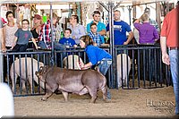 LCFAIR17-4663.jpg