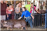 LCFAIR17-4666.jpg