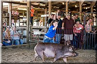 LCFAIR17-4669.jpg