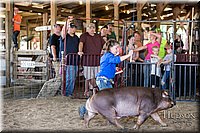 LCFAIR17-4670.jpg