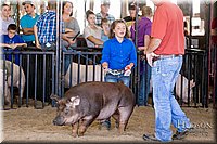 LCFAIR17-4672.jpg