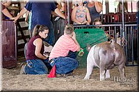 LCFAIR17-4676.jpg