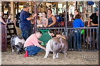 LCFAIR17-4678.jpg