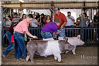 LCFAIR17-4685.jpg