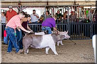 LCFAIR17-4686.jpg