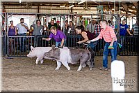 LCFAIR17-4687.jpg