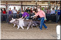 LCFAIR17-4688.jpg