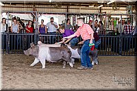 LCFAIR17-4690.jpg