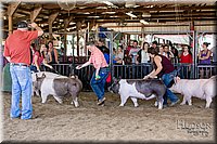 LCFAIR17-4691.jpg