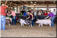 LCFAIR17-4692.jpg