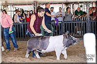 LCFAIR17-4694.jpg