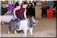 LCFAIR17-4695.jpg