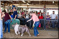 LCFAIR17-4697.jpg