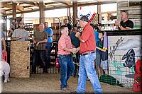 LCFAIR17-4699.jpg