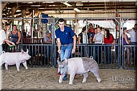 LCFAIR17-4712.jpg