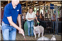 LCFAIR17-4715.jpg