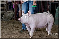 LCFAIR17-4720.jpg