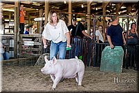 LCFAIR17-4721.jpg