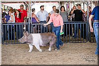 LCFAIR17-4723.jpg