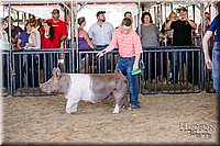 LCFAIR17-4724.jpg