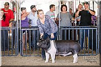 LCFAIR17-4725.jpg