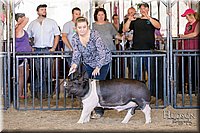 LCFAIR17-4726.jpg