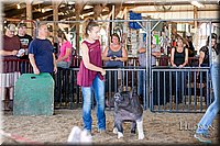 LCFAIR17-4727.jpg