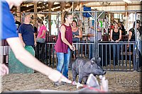 LCFAIR17-4728.jpg