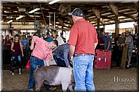 LCFAIR17-4729.jpg