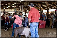 LCFAIR17-4730.jpg