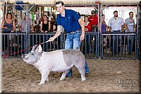 LCFAIR17-4731.jpg