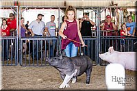 LCFAIR17-4733.jpg